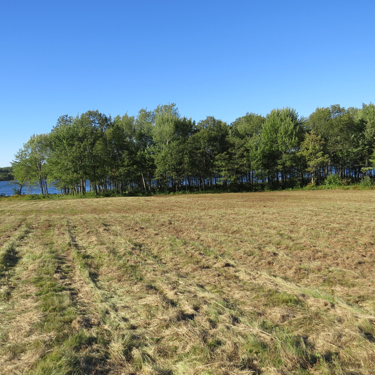 10 Highway, Cumberland Bay, NB Old Crow Land Company