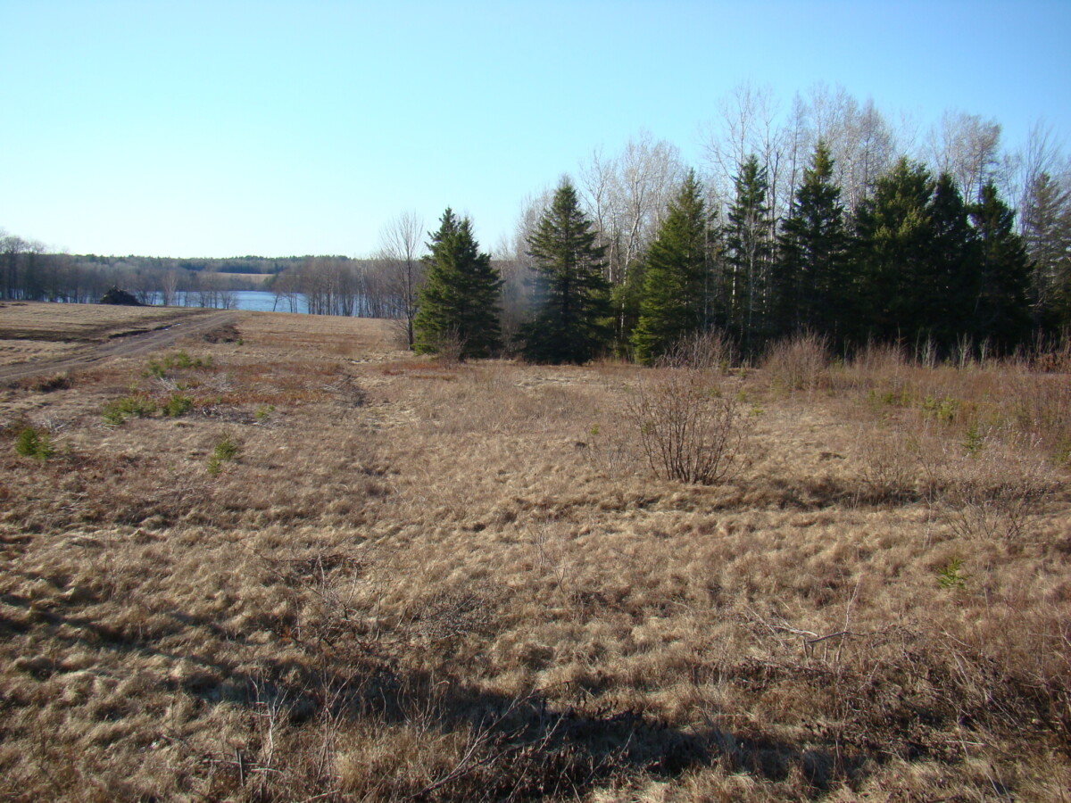10 Highway, Cumberland Bay, NB Old Crow Land Company
