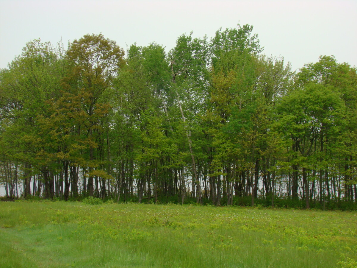 10 Highway, Cumberland Bay, NB Old Crow Land Company