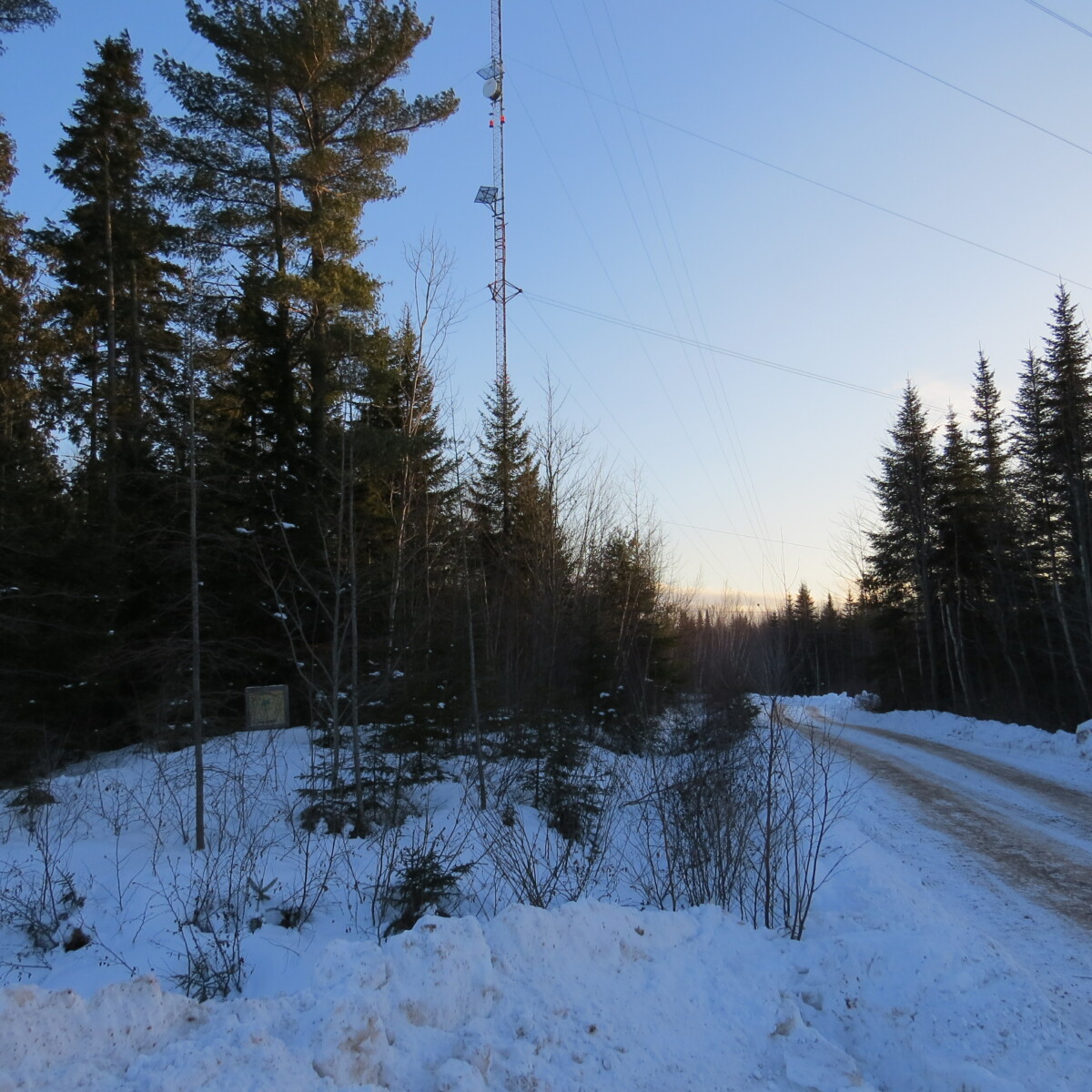 Wood Lot With Camp and Tower Site Near Jemseg, NB Old Crow Land Company