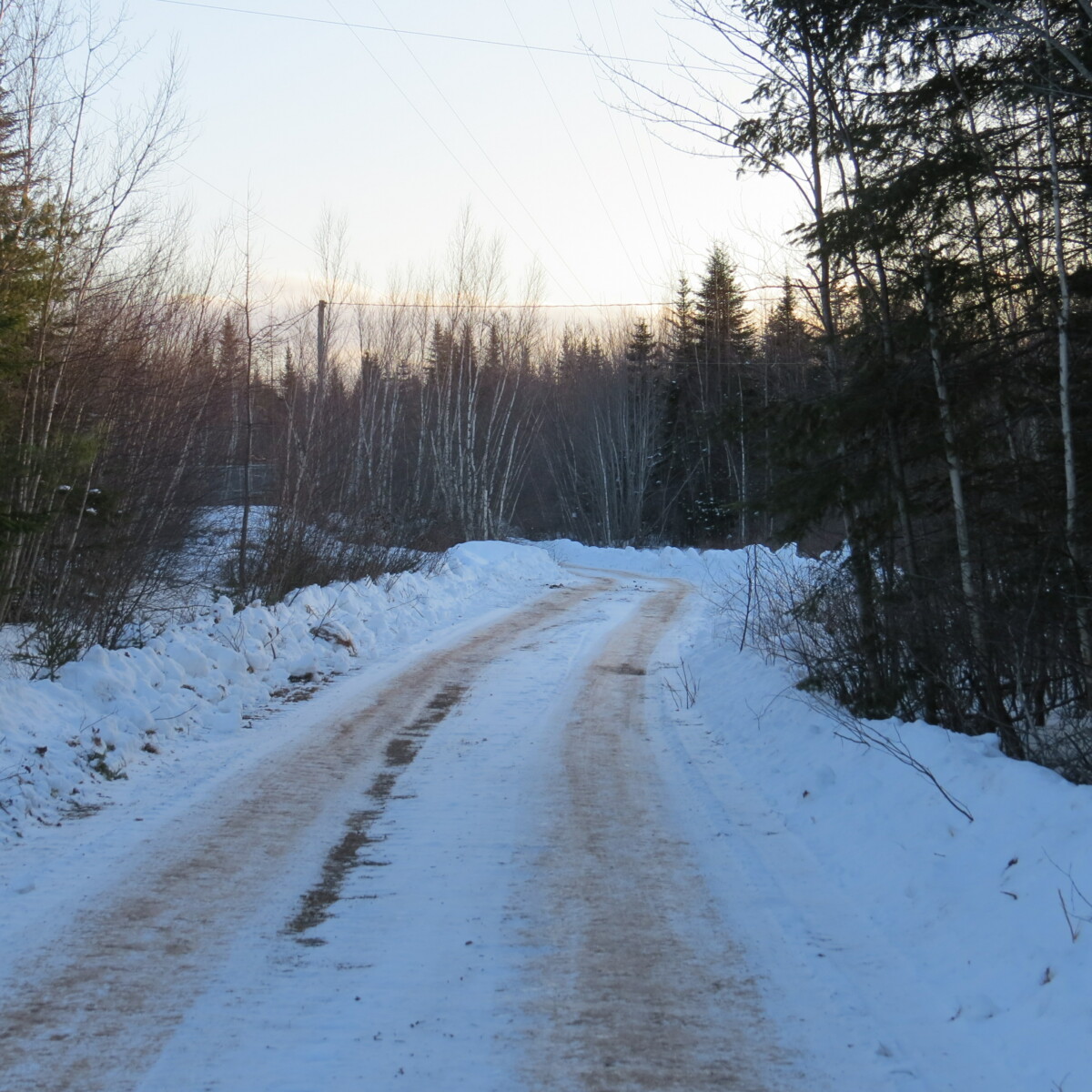 Wood Lot With Camp and Tower Site Near Jemseg, NB Old Crow Land Company