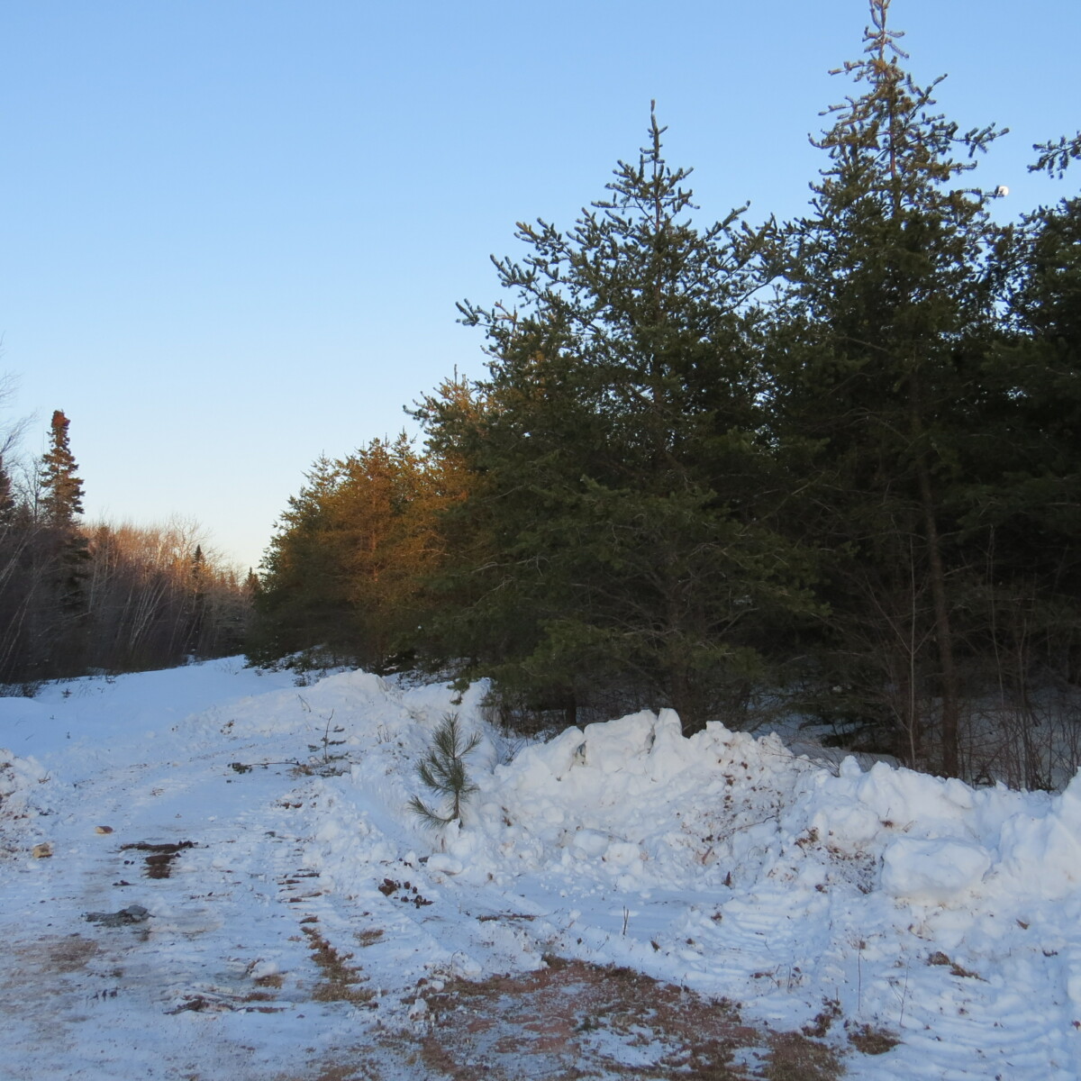 Wood Lot With Camp and Tower Site Near Jemseg, NB Old Crow Land Company