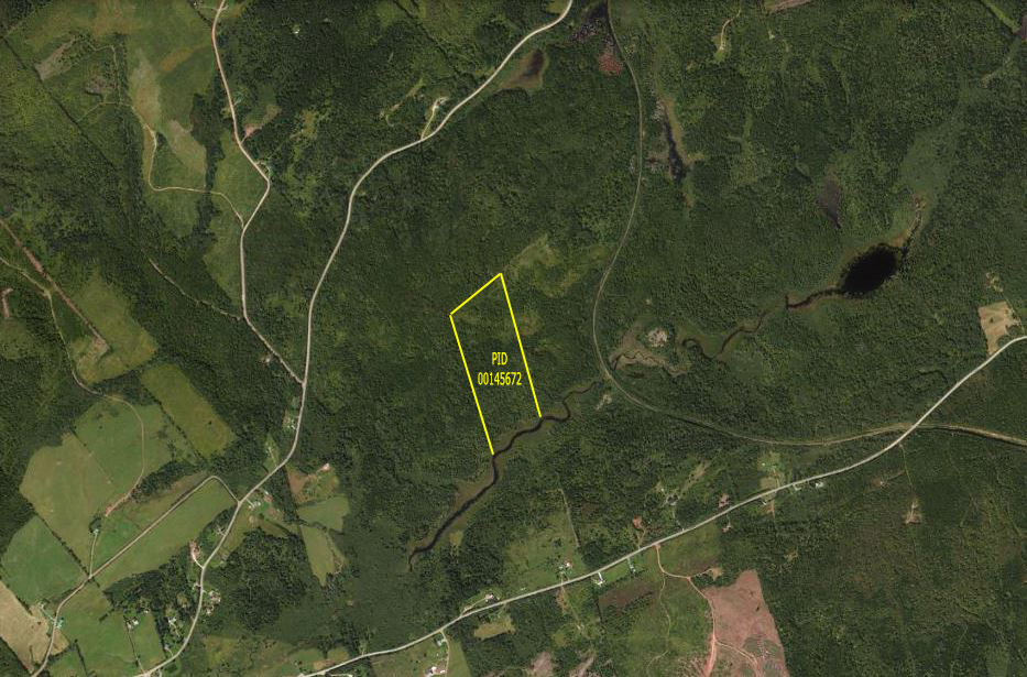 30Acre Woodlot At Salt Springs, NB Old Crow Land Company 30Acre Woodlot At Salt Springs, NB Old Crow Land Company
