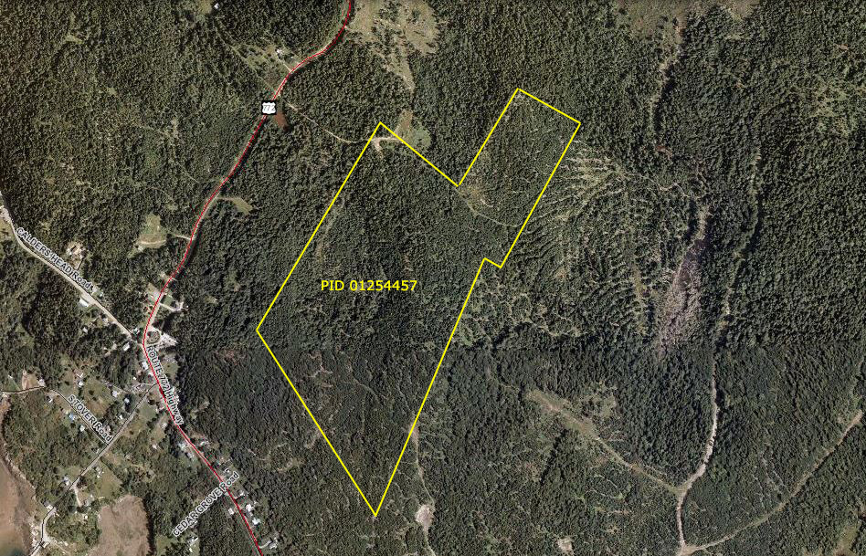 75Acre Woodlot For Sale On Deer Island, NB Old Crow Land Company