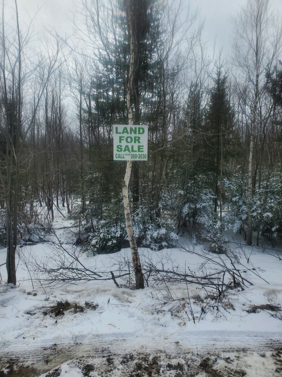 25 Acres of Woodland For Sale Old Crow Land Company