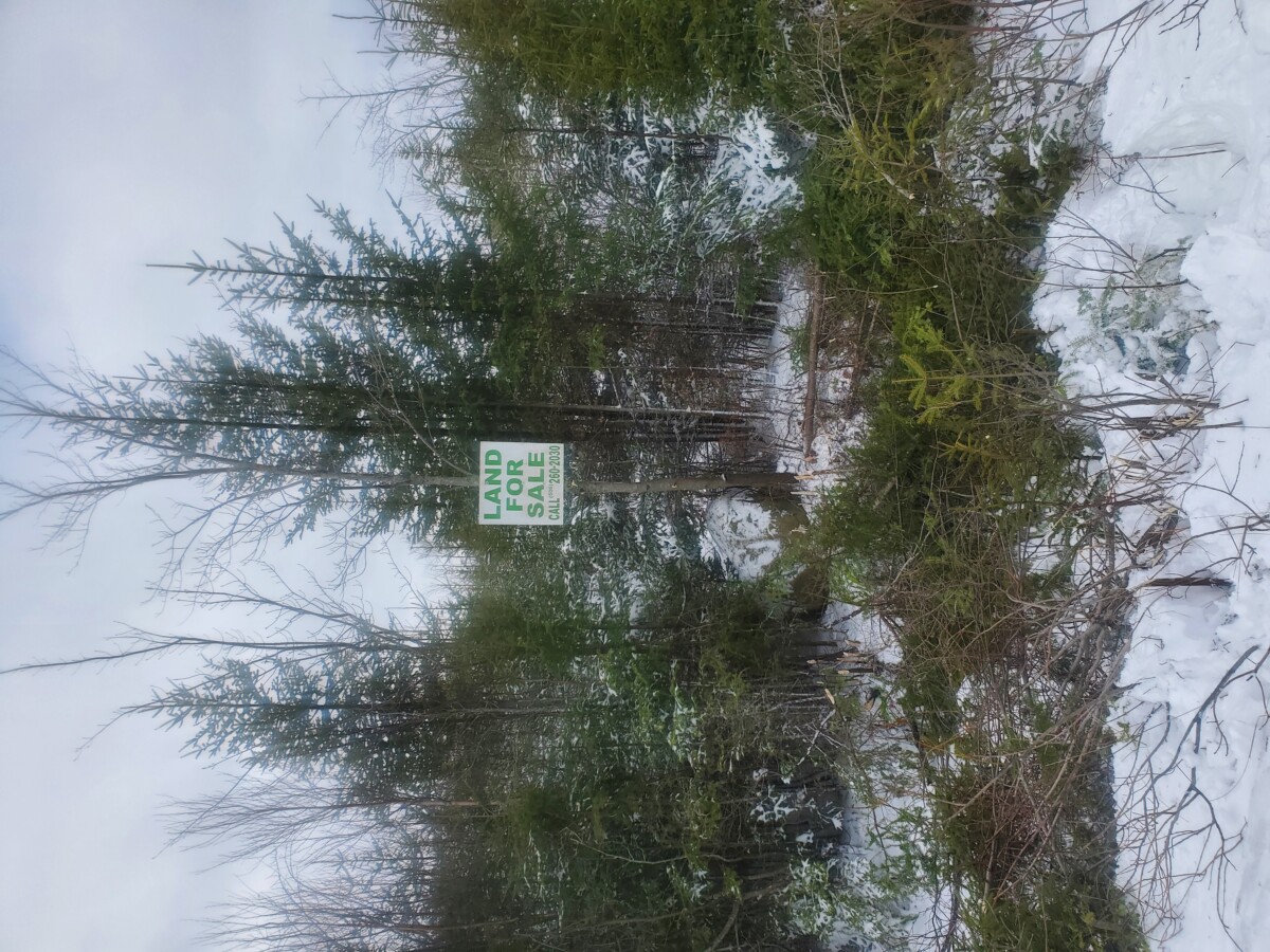 25 Acres of Woodland For Sale Old Crow Land Company